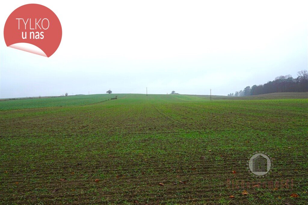 Działka rolna na sprzedaż Gronów  9 700m2 Foto 1