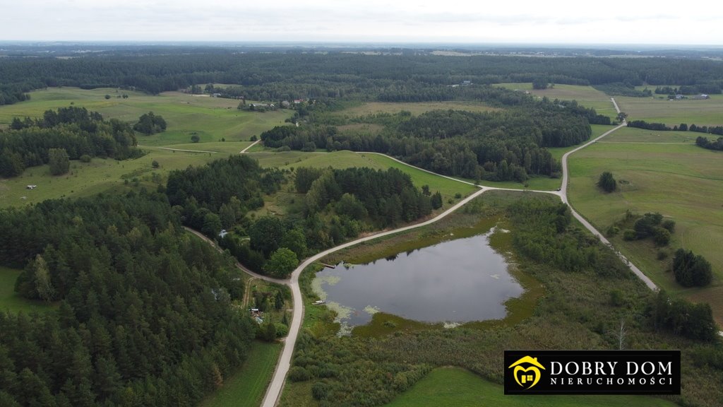 Działka leśna na sprzedaż Osinki  5 585m2 Foto 5