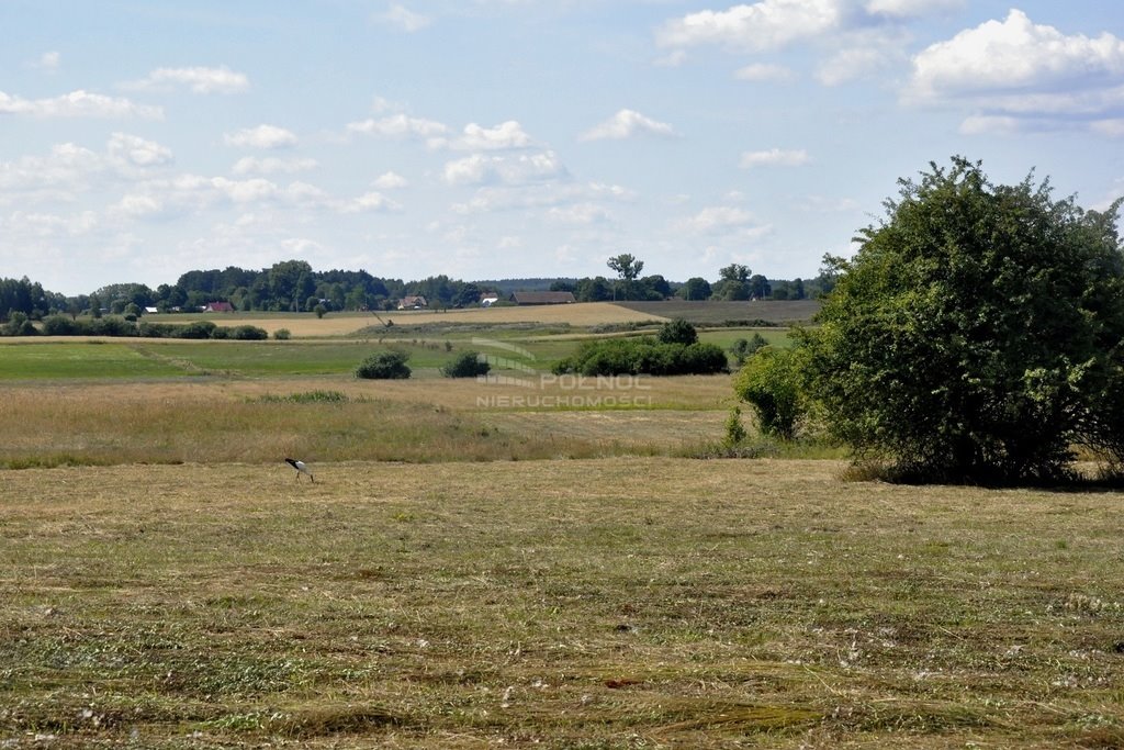 Działka rolna na sprzedaż Dybowo  43 751m2 Foto 14