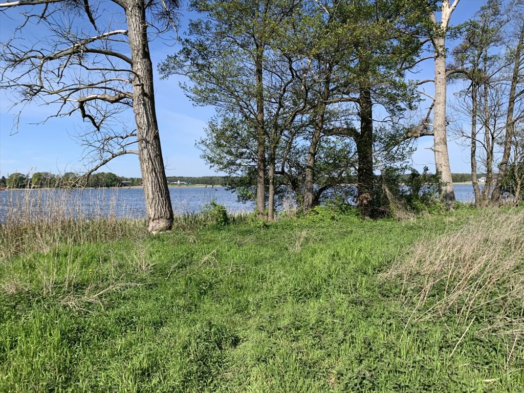 Działka nad jeziorem Skrzynki 987 m2, blisko Poznania Kórnik  987m2 Foto 1