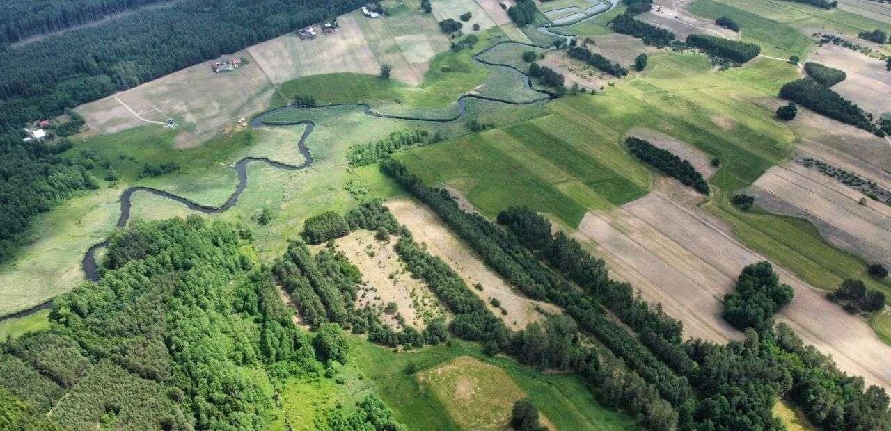 Działka rolna na sprzedaż Strzelcowizna  92 500m2 Foto 5