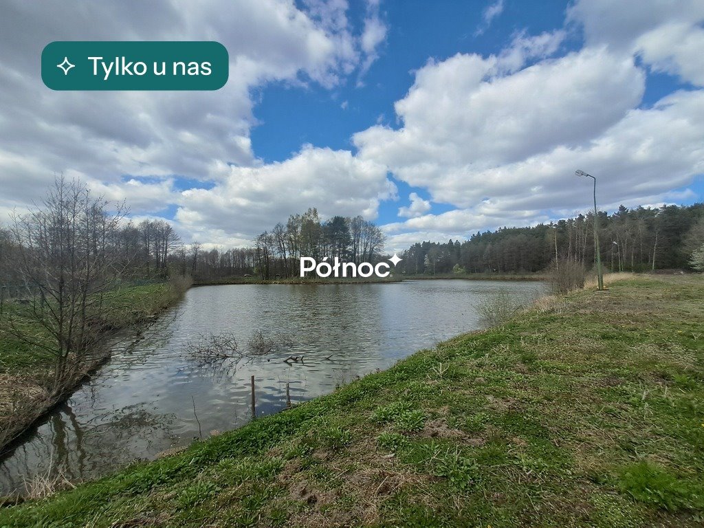 Działka 2,28 ha z stawem, domkiem i dostępem do rzeki Kletnia  20 028m2 Foto 1