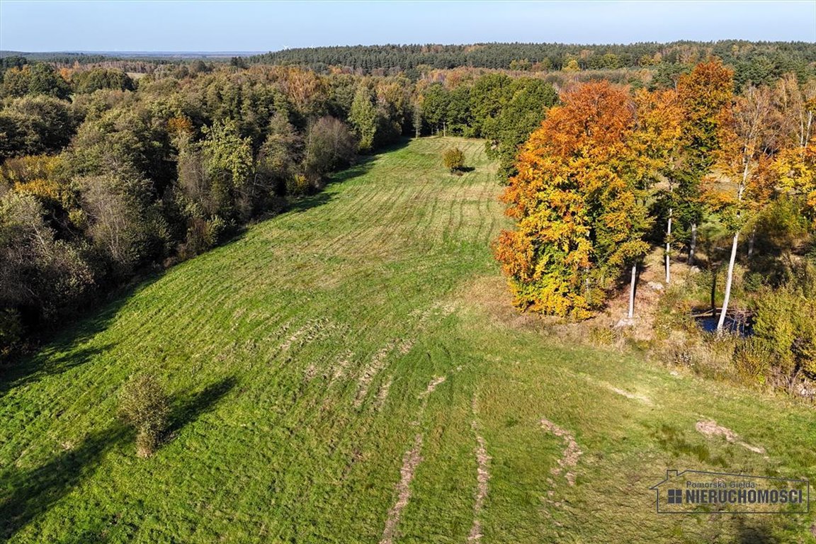 Działka budowlana na sprzedaż Knyki  3 079m2 Foto 6