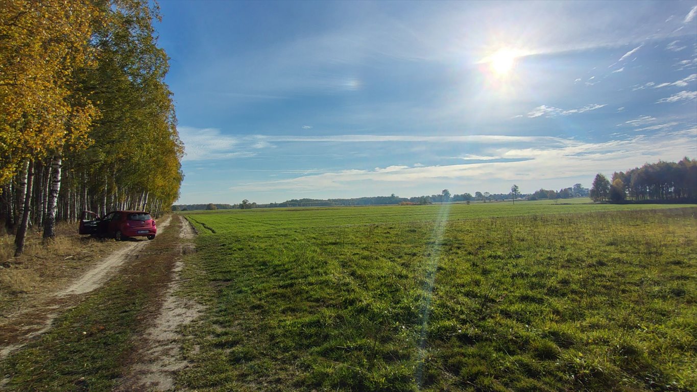 Działka budowlana na sprzedaż Brzozowica, Brzozowica  830m2 Foto 6