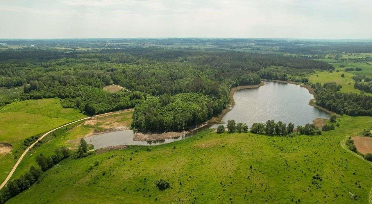 Działka rolna na sprzedaż Rogale  3 002m2 Foto 10