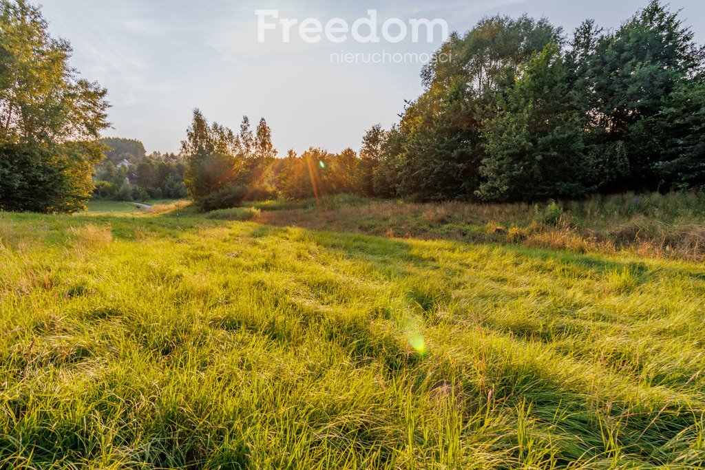 Działka budowlana na sprzedaż Zabłędza  9 218m2 Foto 4