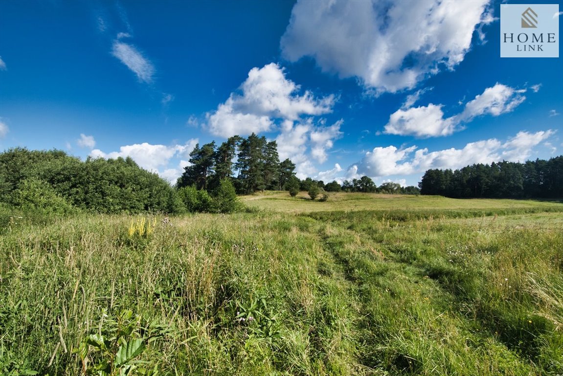 Działka inna na sprzedaż Stare Miasto  27 392m2 Foto 10