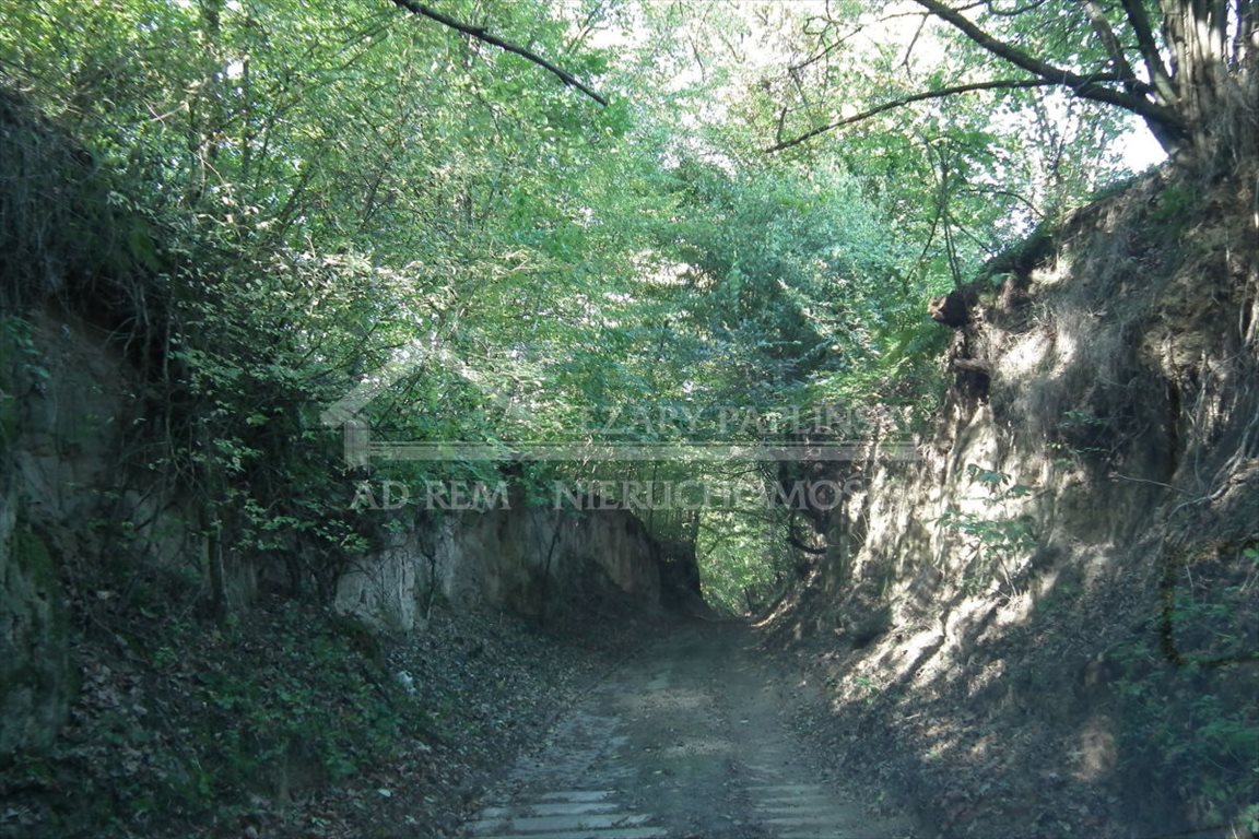 Działka budowlana na sprzedaż Kazimierz Dolny, Wylągi, Wylągi 6 713m2 Foto 1 Działka budowlana na sprzedaż Kazimierz Dolny, Wylągi, Wylągi 6 713m2 Foto 1