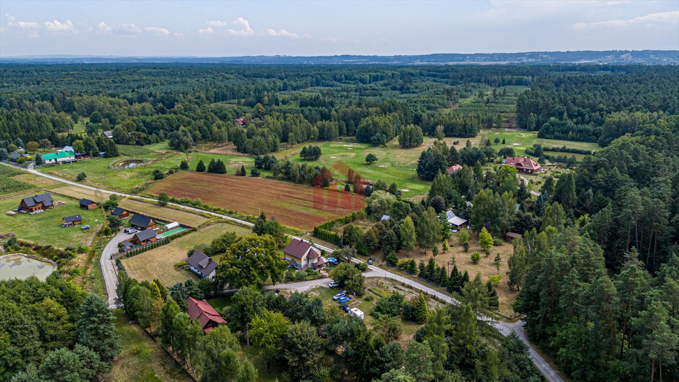 Działka budowlana na sprzedaż Krzywa  2 000m2 Foto 7