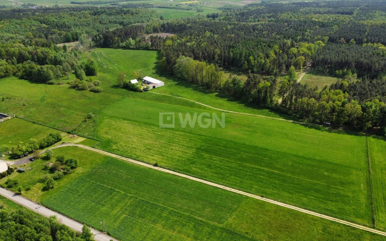 Działka budowlana na sprzedaż Koziegłowy, Rzeniszów  47 000m2 Foto 7