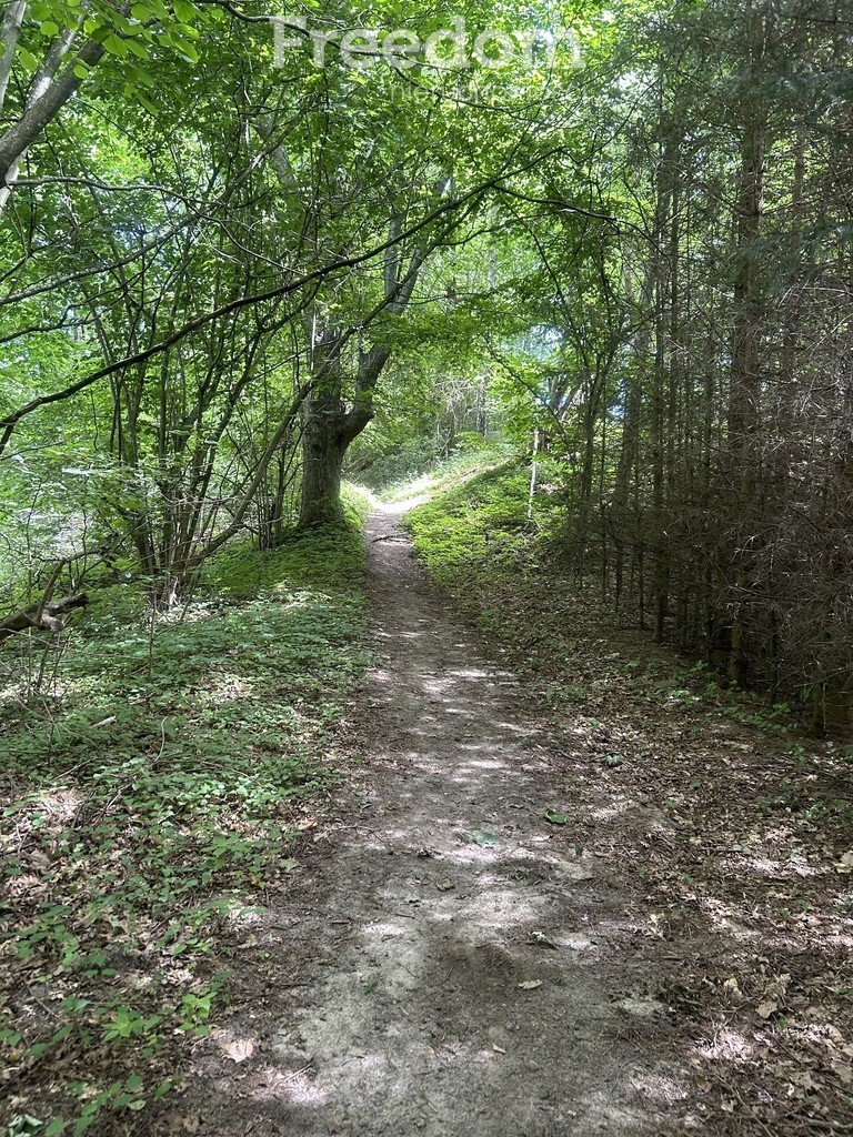 Działka rekreacyjna na sprzedaż Tuczno  1 000m2 Foto 3