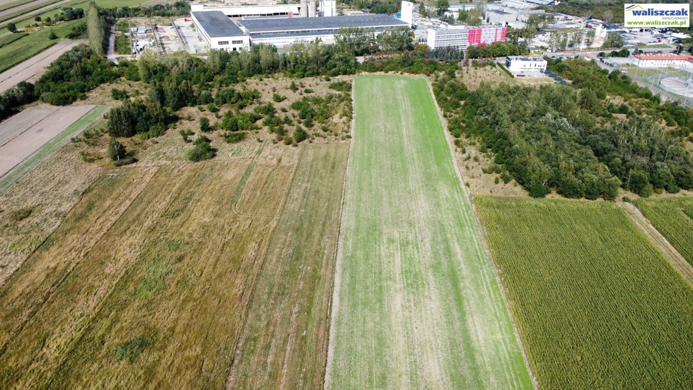 Działka budowlana na sprzedaż Piotrków Trybunalski, Wronia  24 900m2 Foto 4