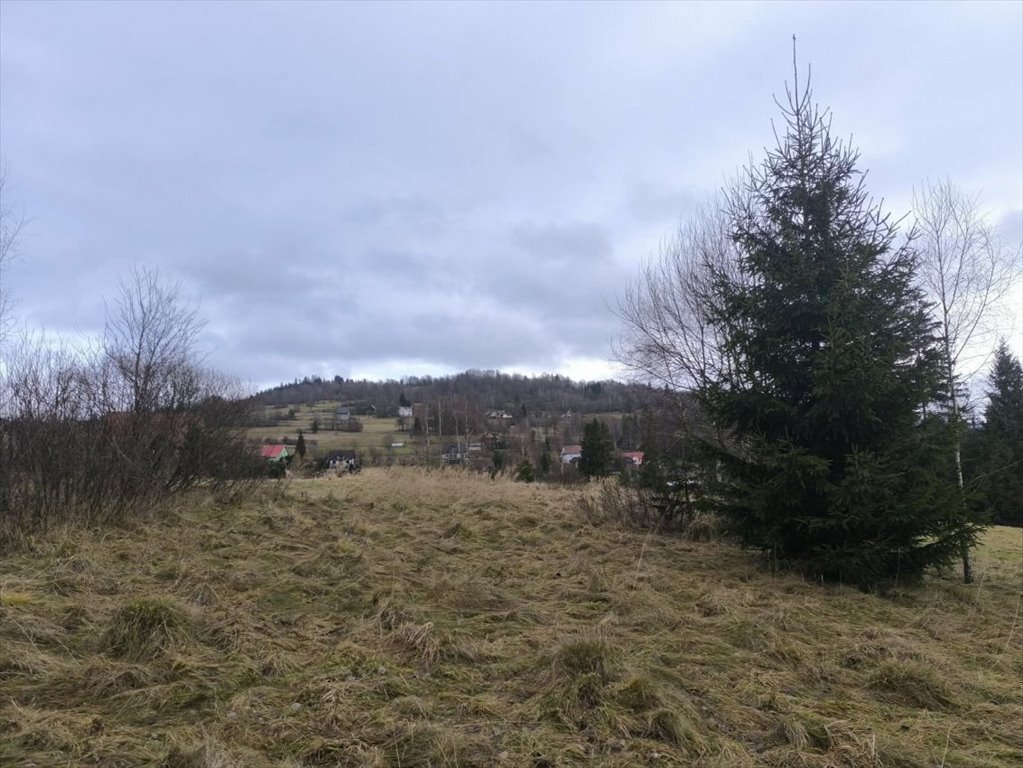 Duża działka rolna 4900 m² z dostępem do mediów i świetną lokalizacją Laliki  4 900m2 Foto 1