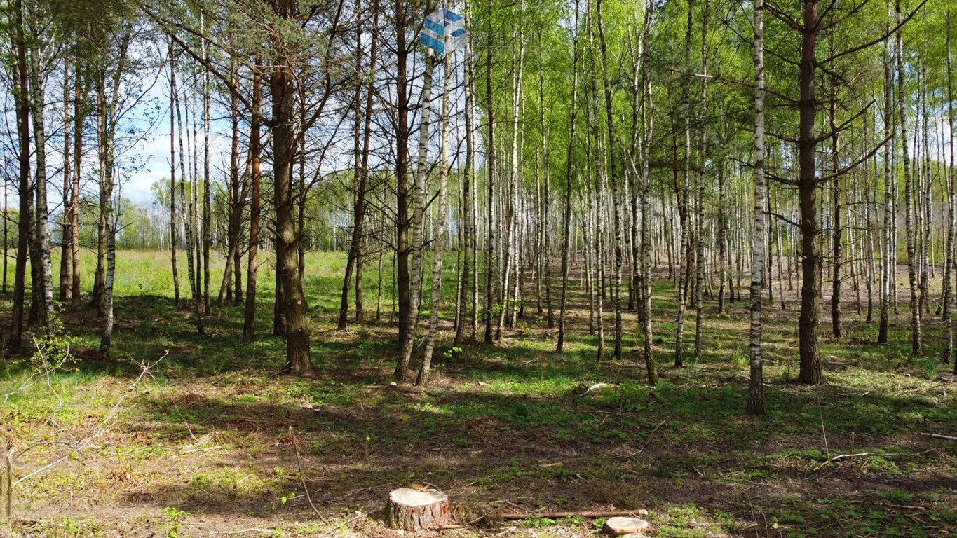 Działka budowlana na sprzedaż Barczewo  1 030m2 Foto 12