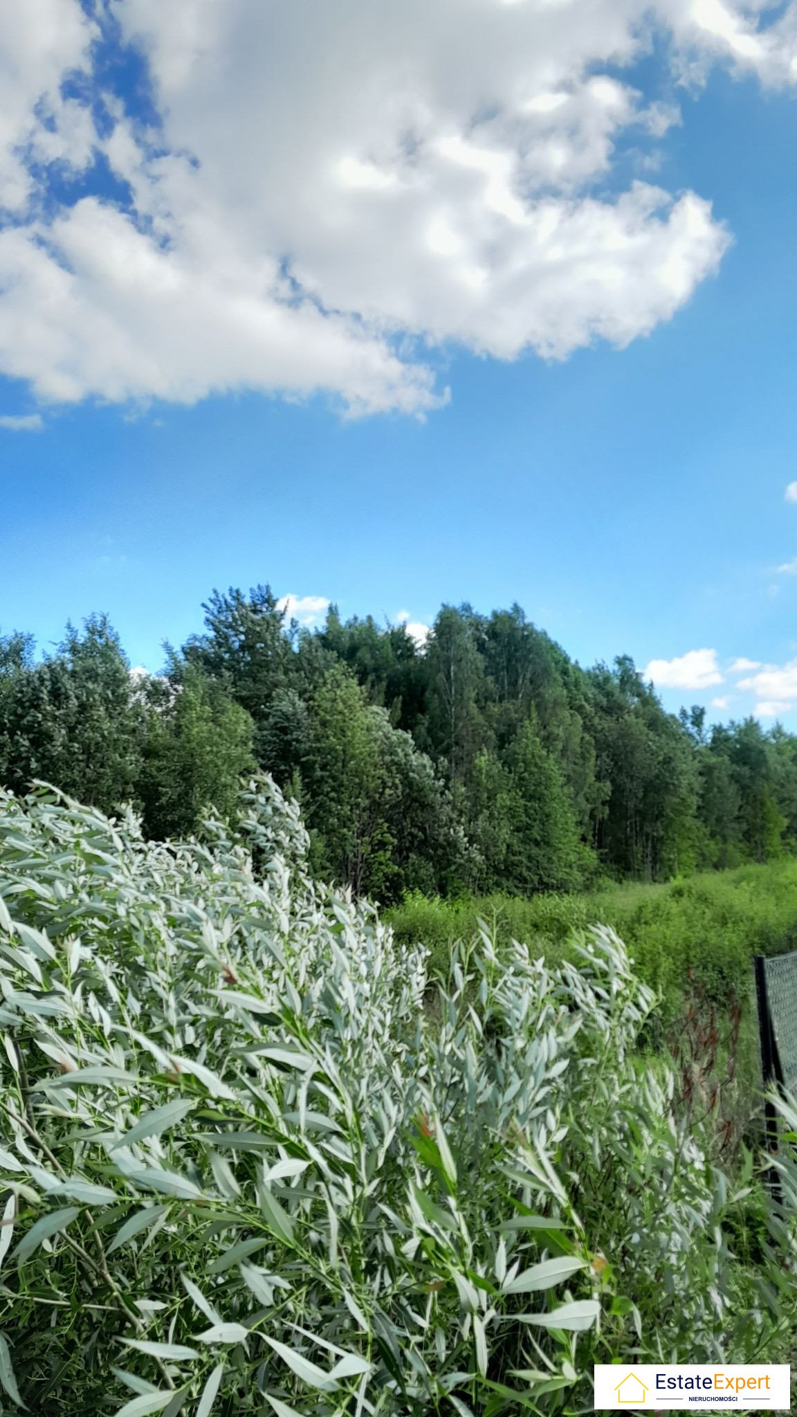 Działka budowlana na sprzedaż Masłów Drugi  800m2 Foto 7