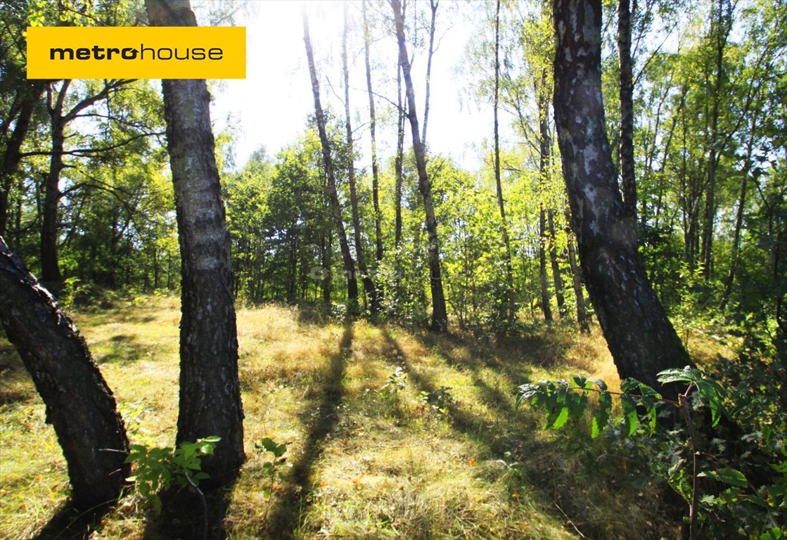 Działka inna na sprzedaż Nowe Łagiewniki  1 000m2 Foto 1