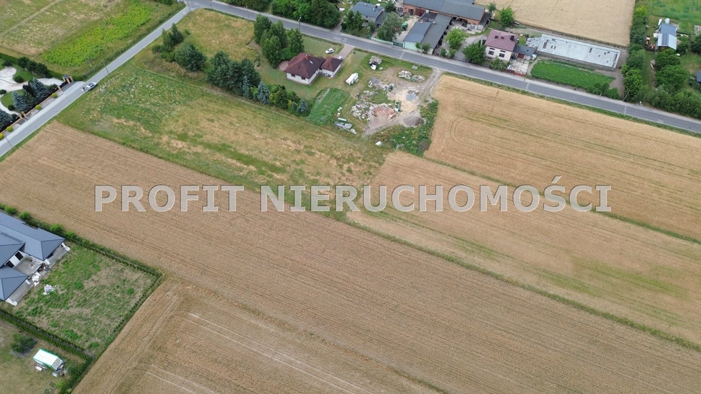 Zdjęcie 4