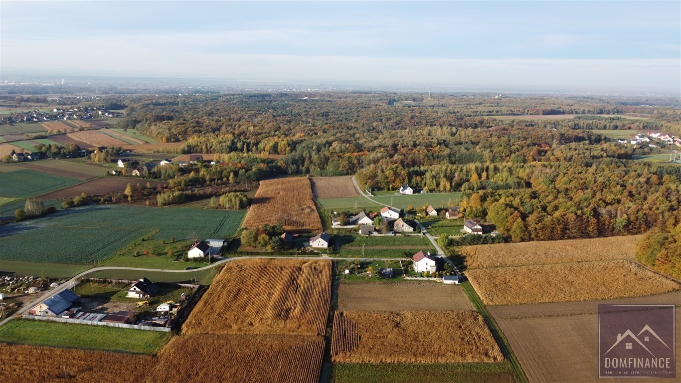 Działka budowlana na sprzedaż Morzychna  7 000m2 Foto 9