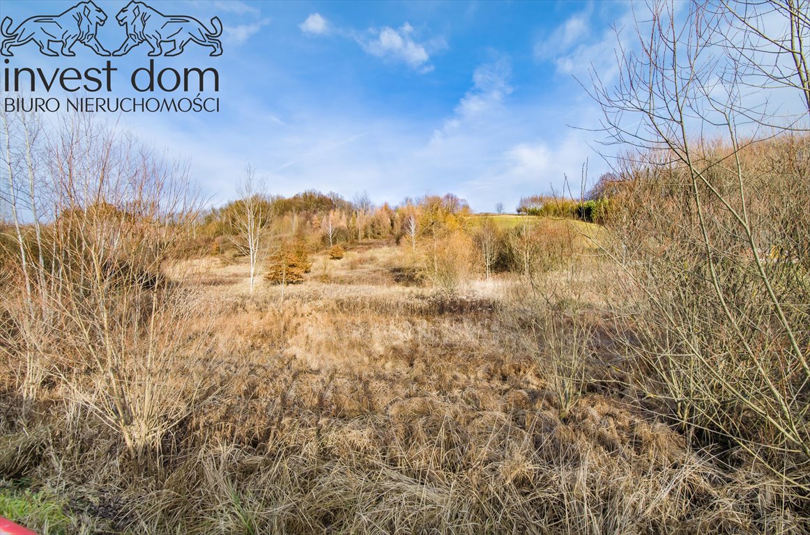 Działka rolna na sprzedaż Bączal Dolny  7 200m2 Foto 3