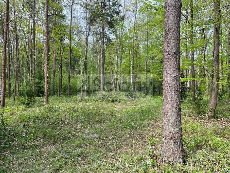 Działka budowlana na sprzedaż Podkowa Leśna  2 761m2 Foto 1