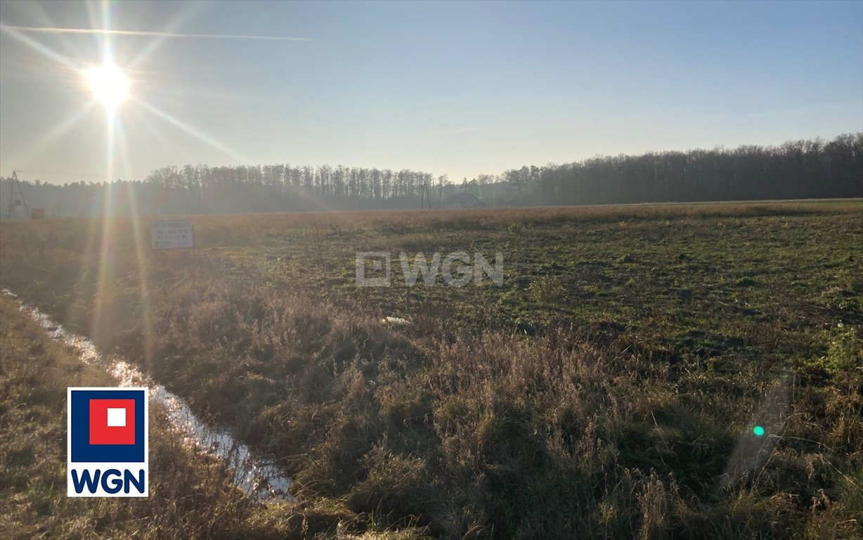 Działka inwestycyjna na sprzedaż Sobótka, Sobótka  8 500m2 Foto 7