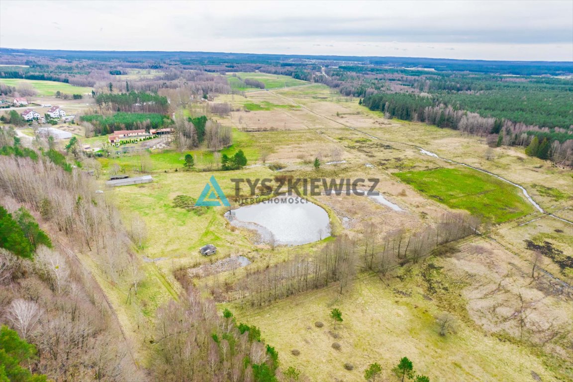 Działka rolna na sprzedaż Zielin  59 900m2 Foto 8