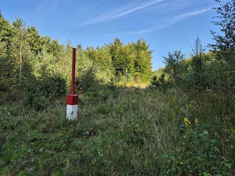 Działka budowlana na sprzedaż Sopieszyno, Leśna  44 000m2 Foto 5