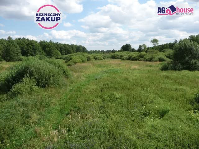 Działki nad jeziorem w Borach Tucholskich, 23 800 m² Ciechocin  23 800m2 Foto 1