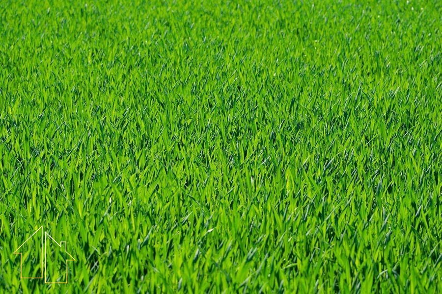Działka przemysłowa 10 000 m² z mediami i dobrym dojazdem Żory, Jesienna  10 000m2 Foto 1