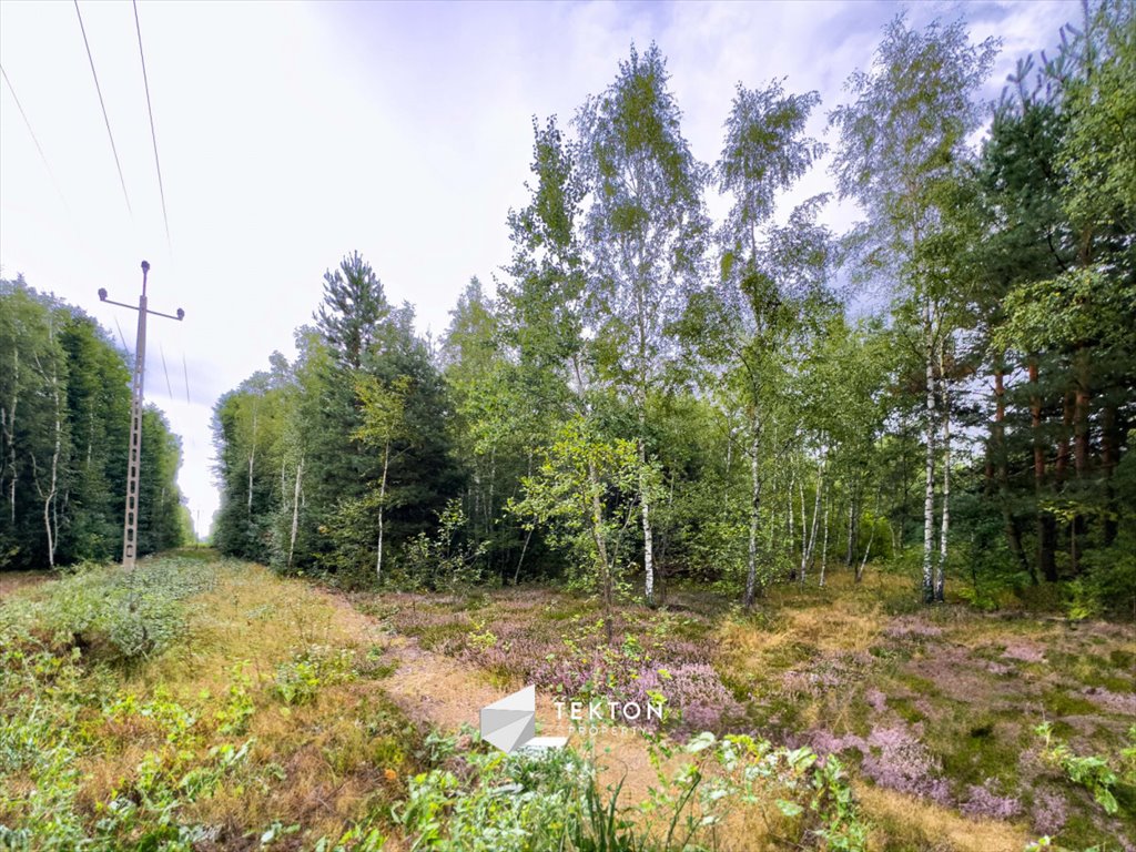 Działka budowlana na sprzedaż Janinów, Szkocka  31 100m2 Foto 2