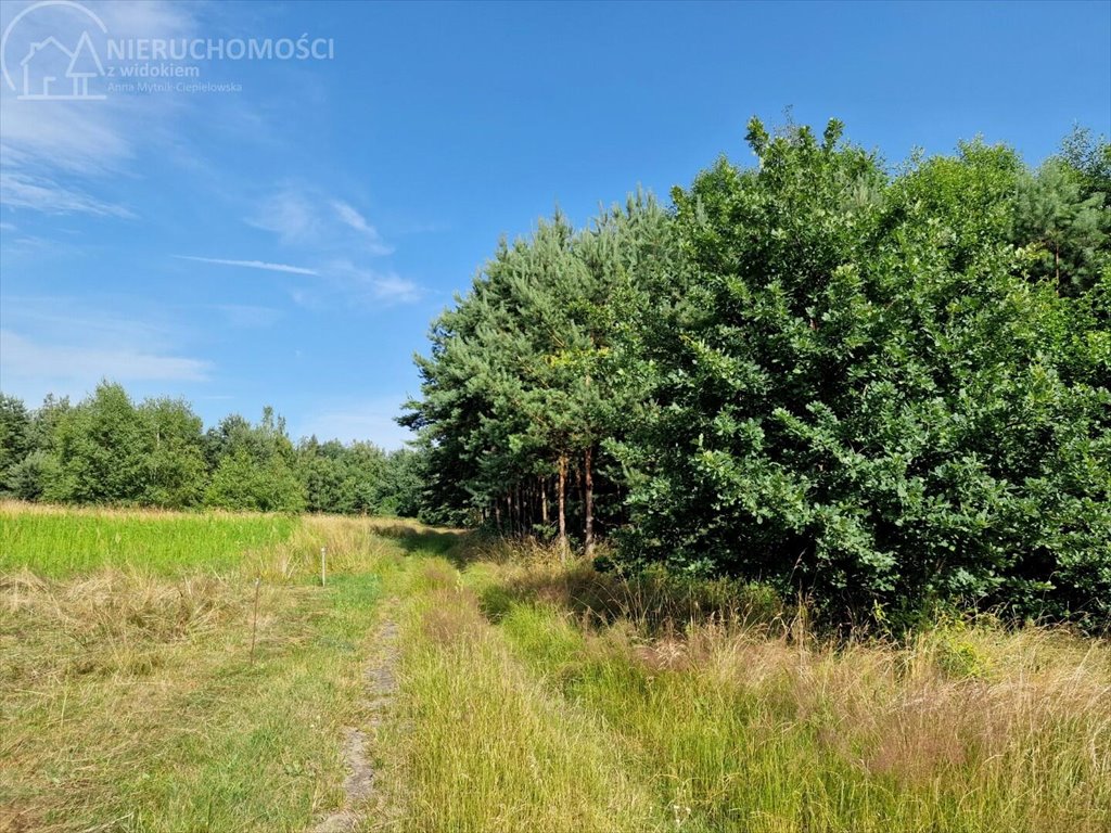 Działka rolna na sprzedaż Zaborów  5 300m2 Foto 1