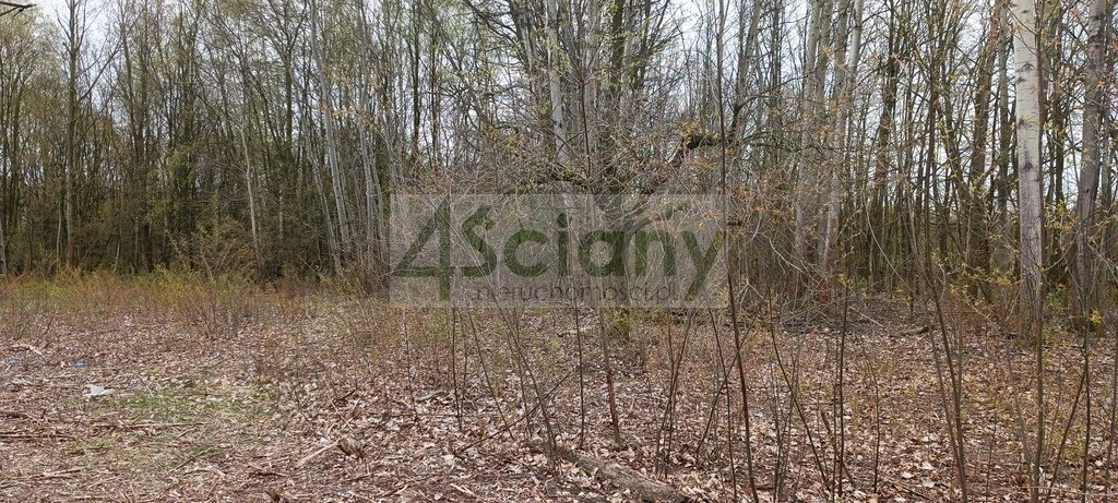 Działka budowlana na sprzedaż Milanówek  6 307m2 Foto 1