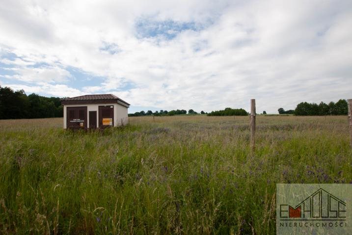 Działka budowlana na sprzedaż Wilczyn  1 000m2 Foto 6