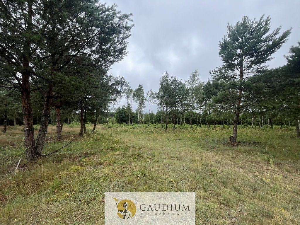 Działka nad jeziorem 3412 m2 z lasem i prywatnym dostępem Nowa Karczma  3 412m2 Foto 1