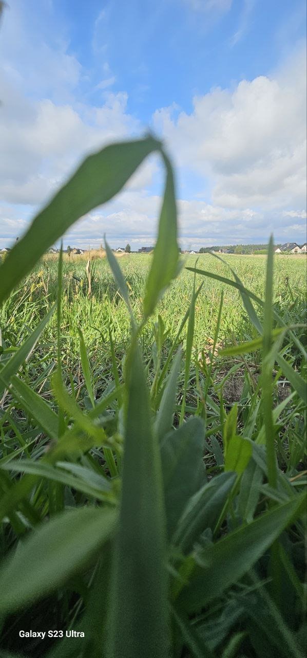 Działka budowlana na sprzedaż Bojszowy  977m2 Foto 1