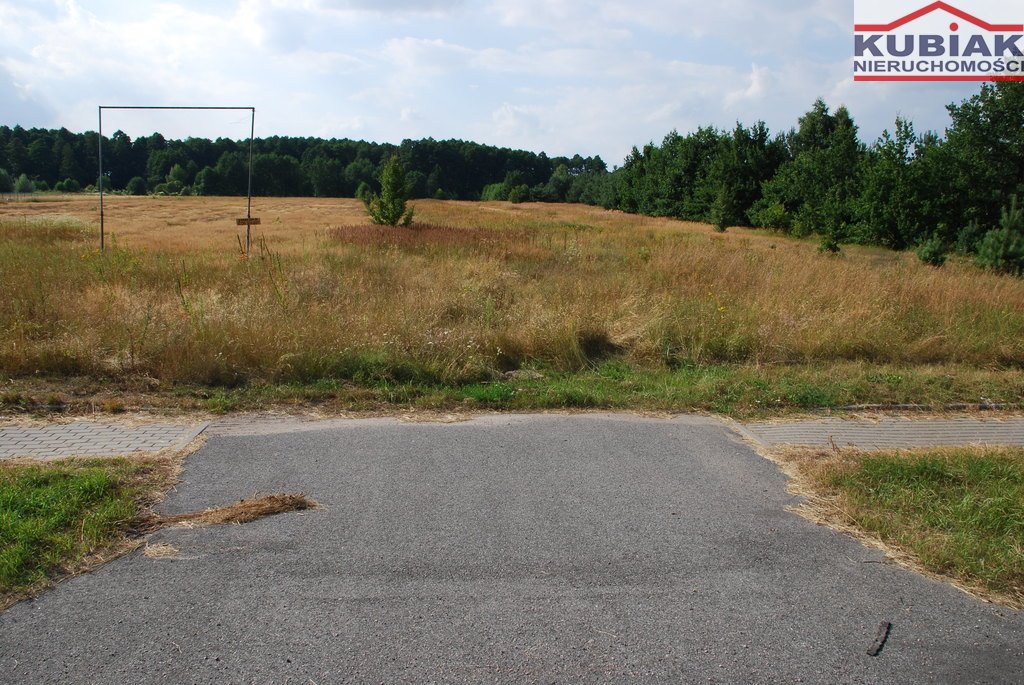 Działka inwestycyjna 2,62 ha pod zabudowę i stację paliw Stary Dębsk  26 200m2 Foto 1