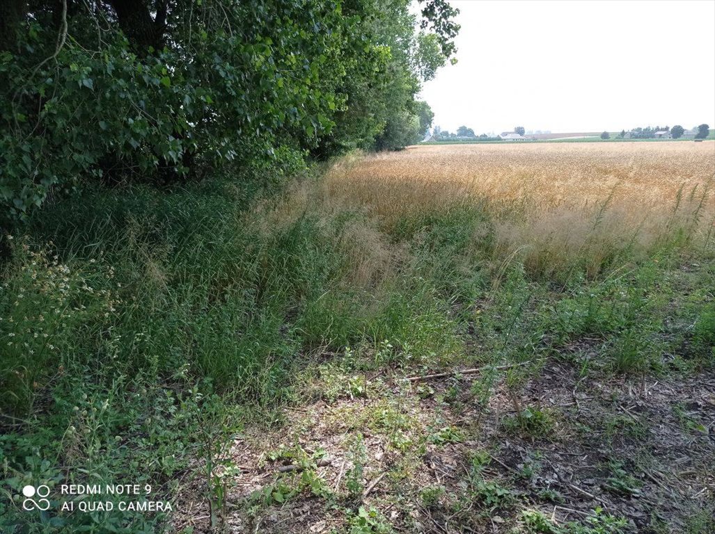 Działka budowlana na sprzedaż Kłecko, Gorzuchowo  1 294m2 Foto 1