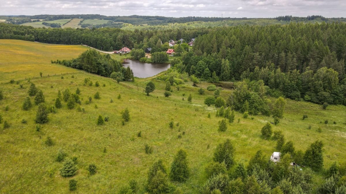 Działka budowlana na sprzedaż Gromadzin  3 143m2 Foto 1