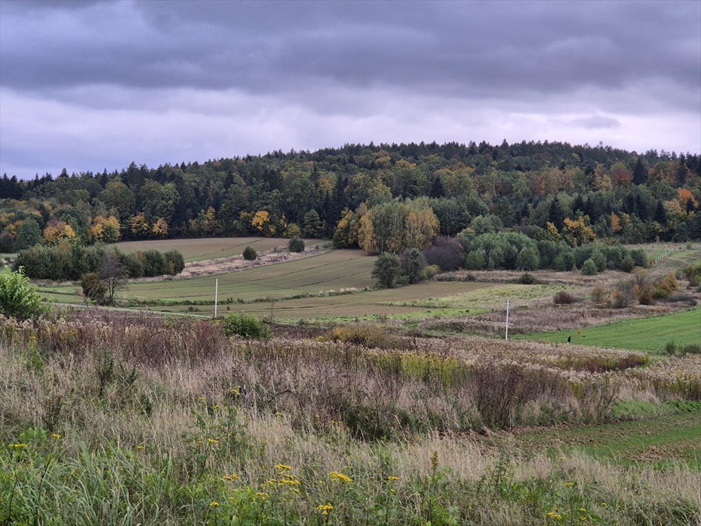 Działka rolna na sprzedaż Długie  1 910m2 Foto 1