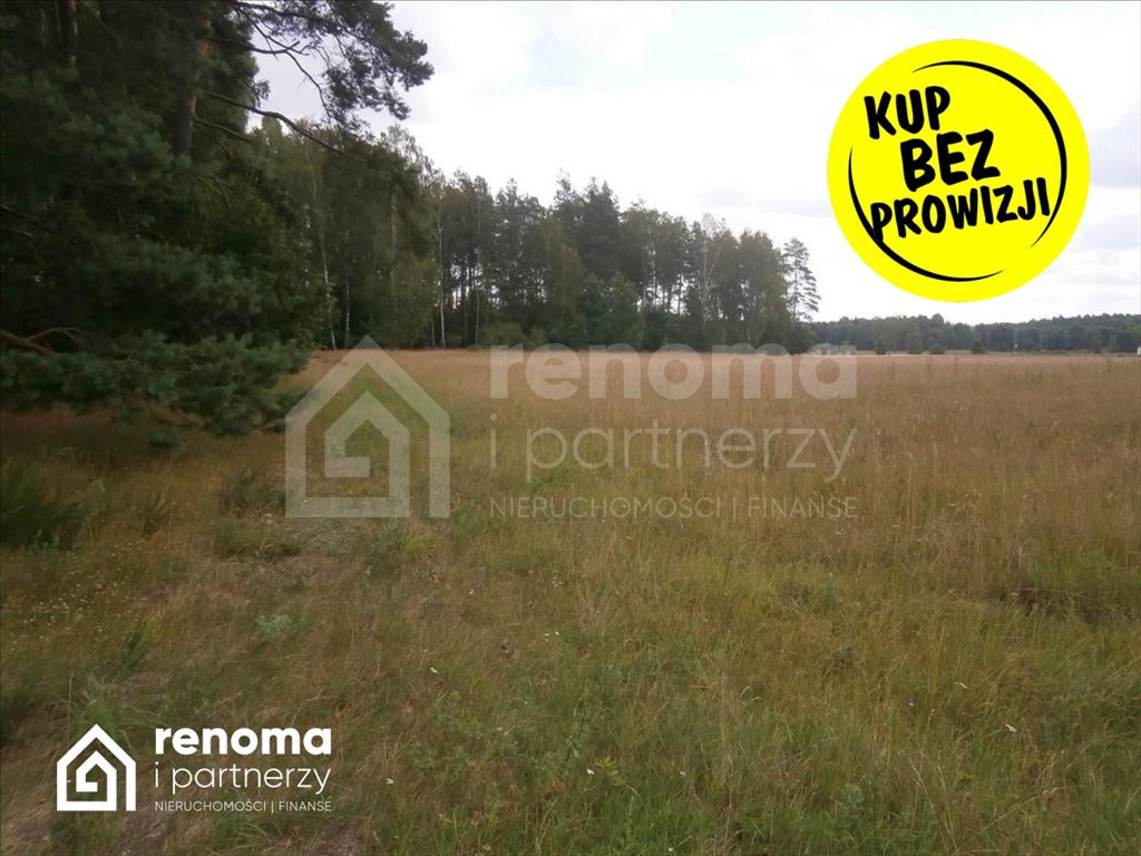 Działka inna na sprzedaż Powidz  9 100m2 Foto 3