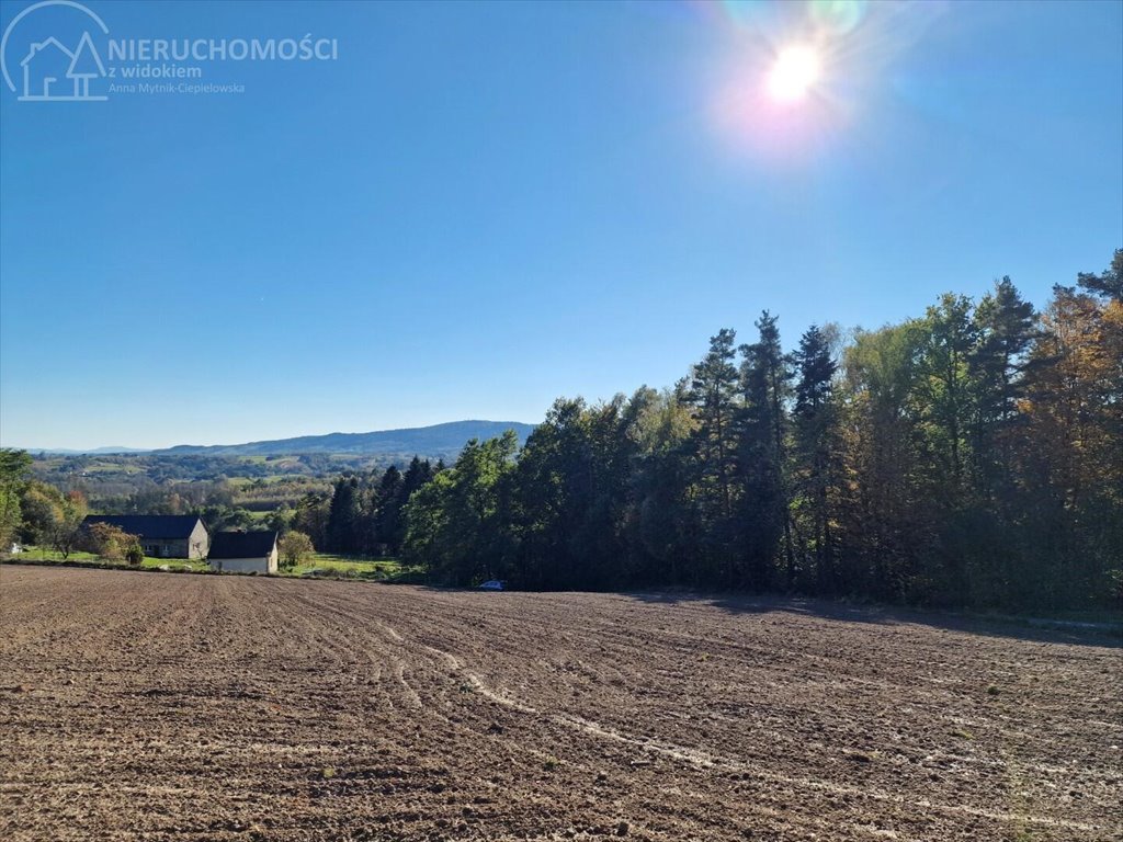 Działka budowlana na sprzedaż Błażkowa  2 200m2 Foto 10