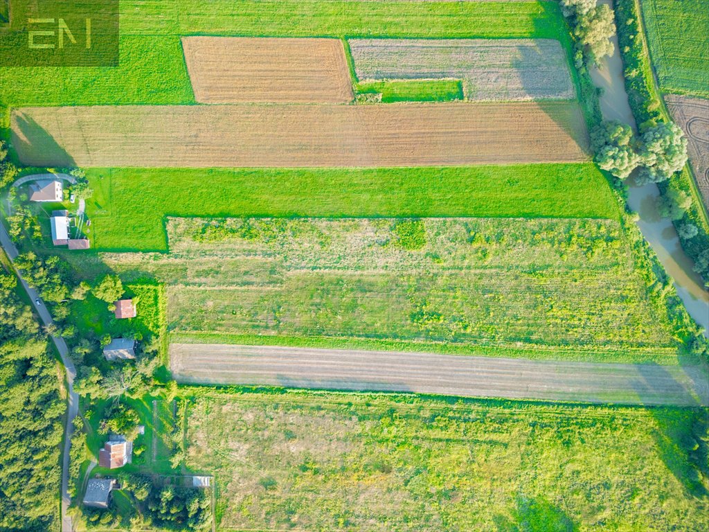 Działka rolna na sprzedaż Kobyle  7 200m2 Foto 8