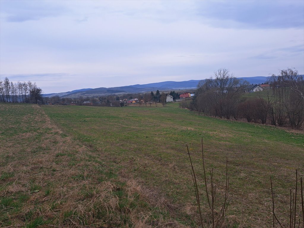 Działka rolna na sprzedaż Gorzyce  3 560m2 Foto 14