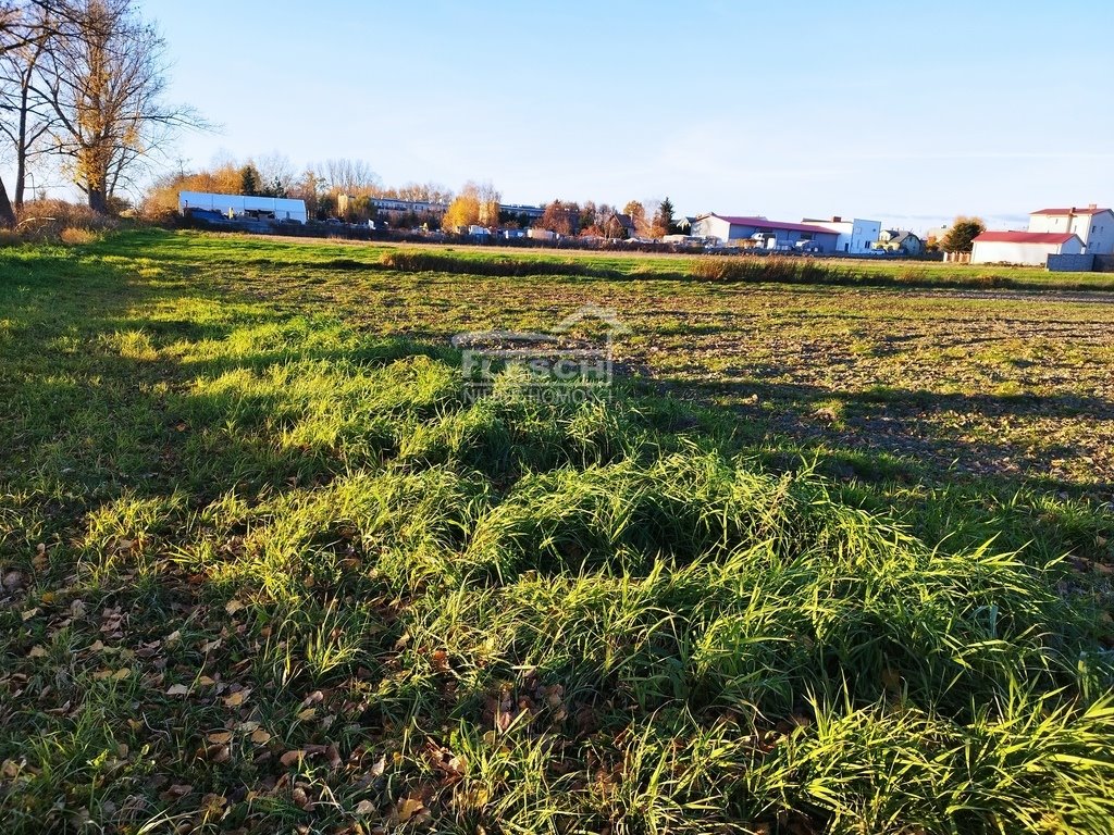 Działka budowlana na sprzedaż Dawidy  4 492m2 Foto 3