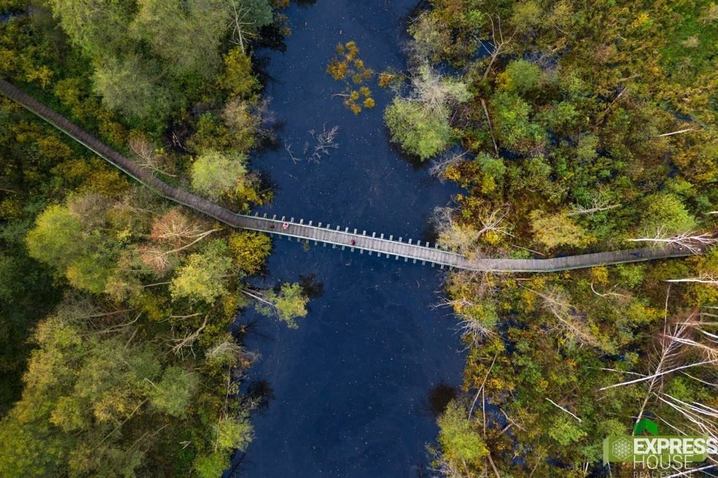 Działka budowlana na sprzedaż Całowanie  1 250m2 Foto 1