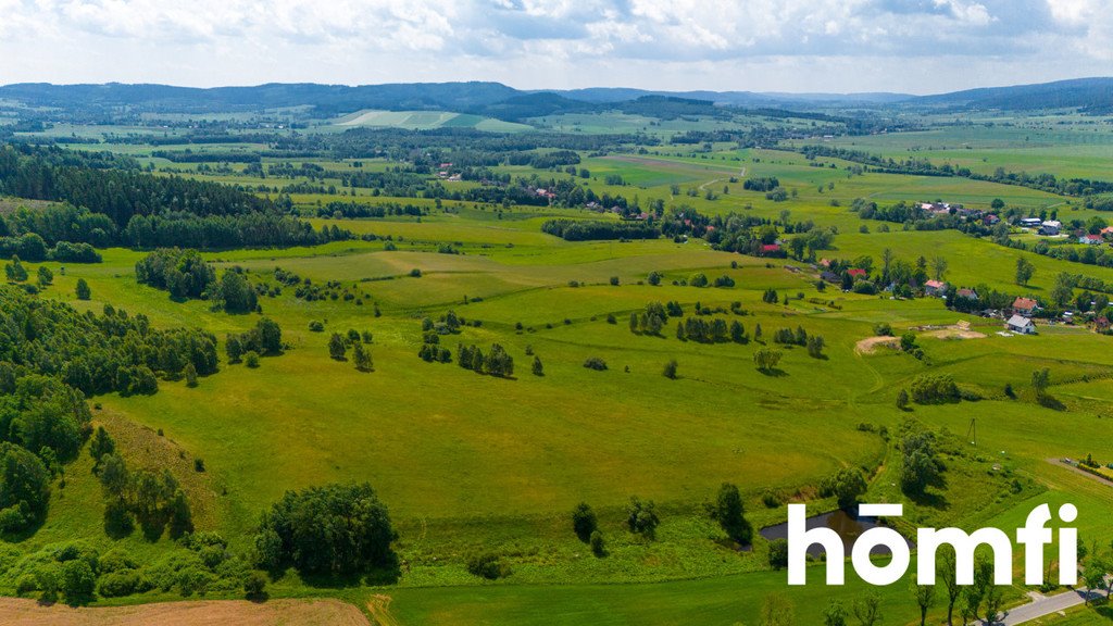 Działka budowlana na sprzedaż Krzeszów, św. Anny  44 700m2 Foto 3