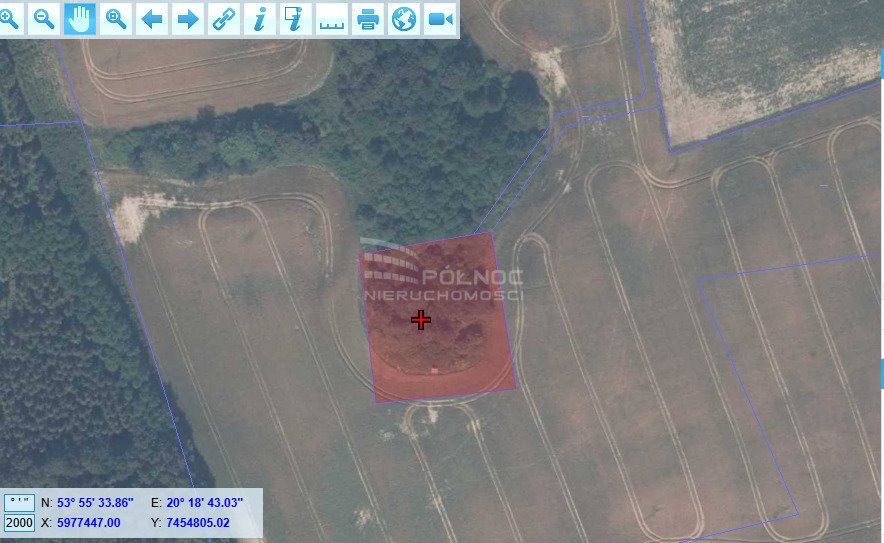 Działka budowlana na sprzedaż Kwiecewo  3 100m2 Foto 3