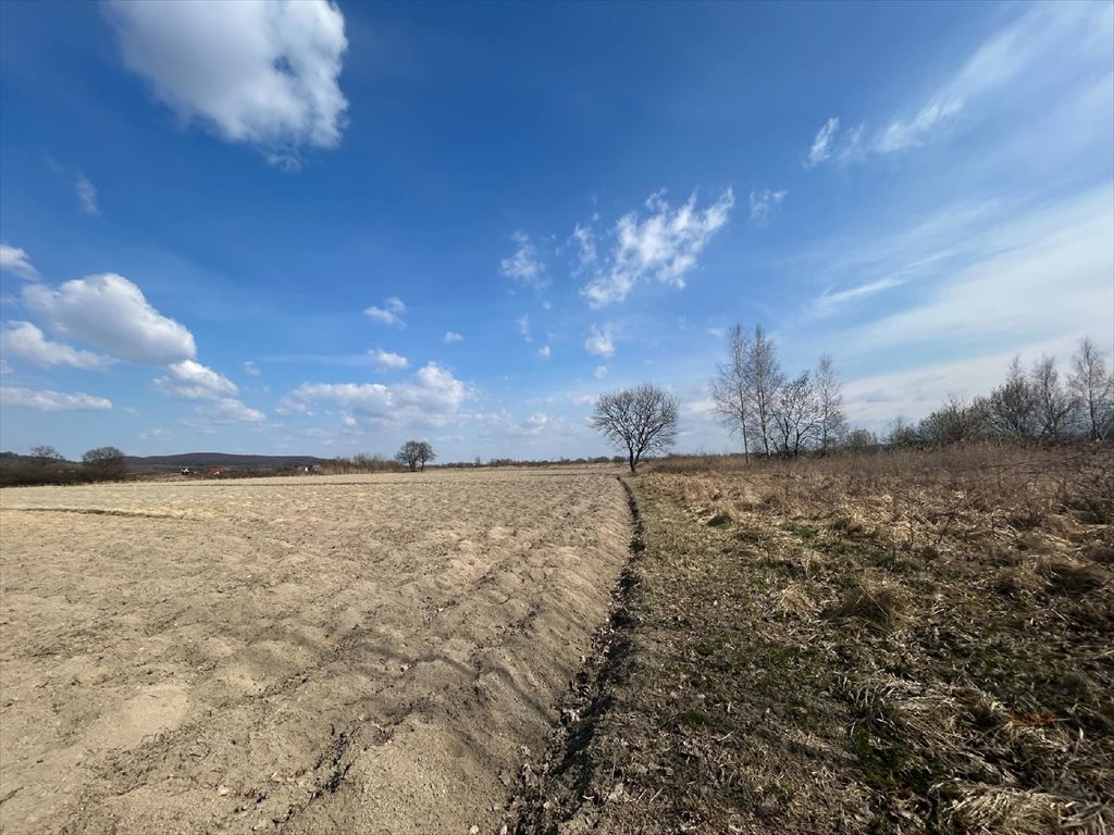 Do sprzedania działka rolna 10 015 m² z możliwością zalesienia i przemysłu Ryczów  10 000m2 Foto 1