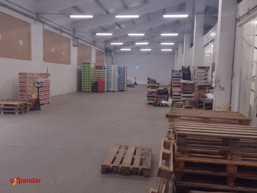 Magazyn 460 m2 z biurami, ogrzewaniem i dużą bramą Głogów Małopolski, św. Maksymiliana Kolbego  450m2 Foto 1