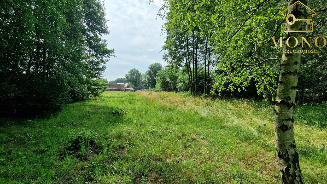 Działka budowlana na sprzedaż Jodłówka-Wałki  1 000m2 Foto 12